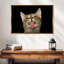 Chat amusant ludique-1051428716-1051428704
