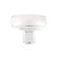 KOYOI Champagne Coupe With Pedestal Stem