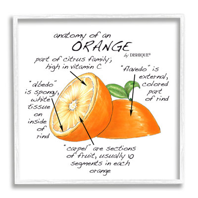 Organigramme orange, tableau d'apprentissage informatif, giclée, art texturé par vaisselle