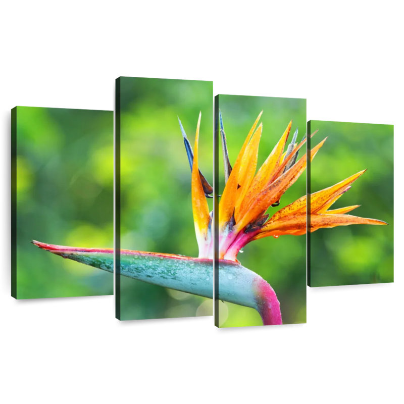Fleur Harnek, oiseau du paradis, H 27 po x l 43 po
