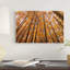 «Orange Grove» par Bill Sherrell, impression sur toile tendue-73871970-73871971-73871972