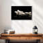 Loups blancs-962901600-962901601