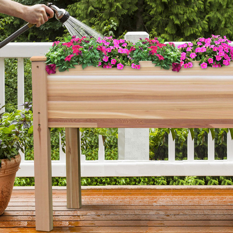 Pot à fleurs surélevé en cèdre Adamo, H 30 po x l 72 po x P 23 po