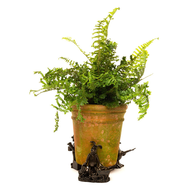 Iunia Stone Weather Resistant Planter Feet