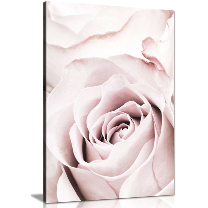 Pastel Pink Rose Close Up - Wrapped Canvas Print, 31cm H x 20cm W x 1.8cm D