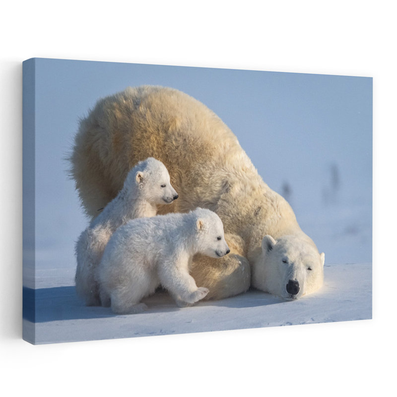 Resting Polar Bear Family Abstract Contemporary Bear Nature Wildlife Wall Art Print, 60.96cm H x 91.44cm W