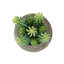 Plante artificielle