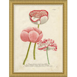 Flora In Pink 4 Giclee Print by Soicher Marin Archives