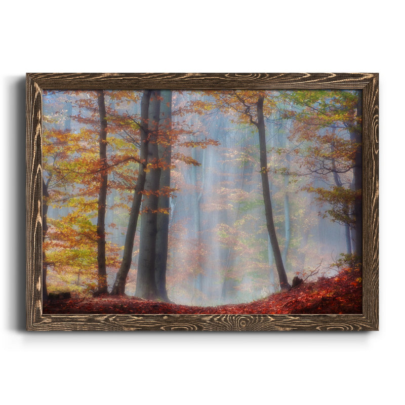 Always Magic Around - Floater Frame, reproduction d'art sur toile, H 20 po x l 17 po x P 1,5 po, Toile avec cadre en noyer