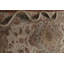 Tapis traditionnel chinois 9x12