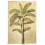 « palms of the tropiques ii », reproduction d’art sur toile-20938377-72042885-72042886