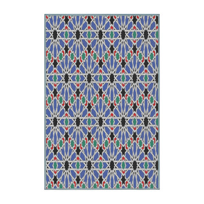 Indoor Rug