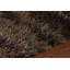 Kubu Hand Loomed Striped Area Rug in Brown/Gray/Tan-400123200