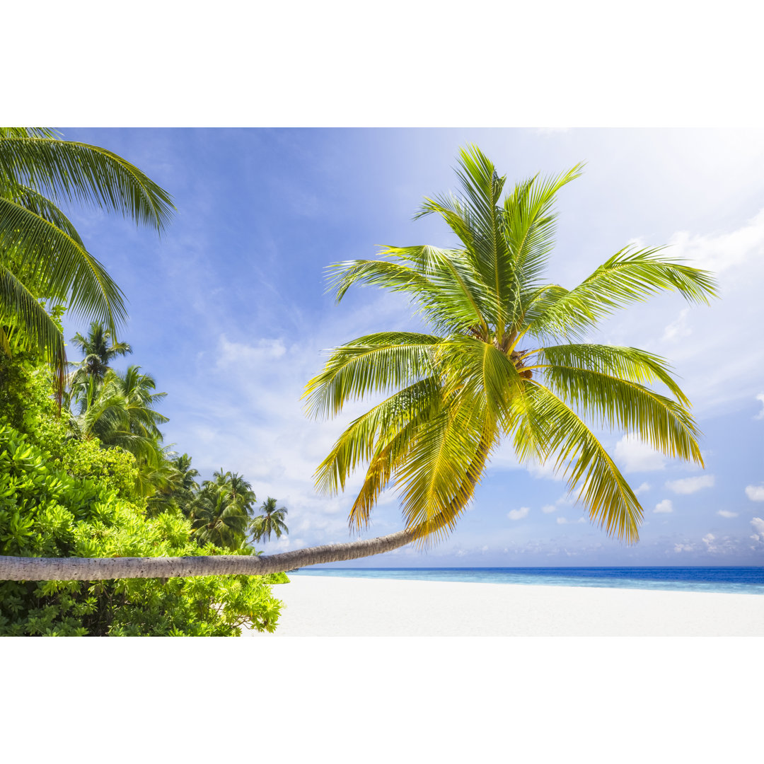 Tropical Sunshine Island von Cinoby - Druck