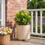 Pot de fleurs en plastique 16 po, paquet de 1-1667978241-1821227060