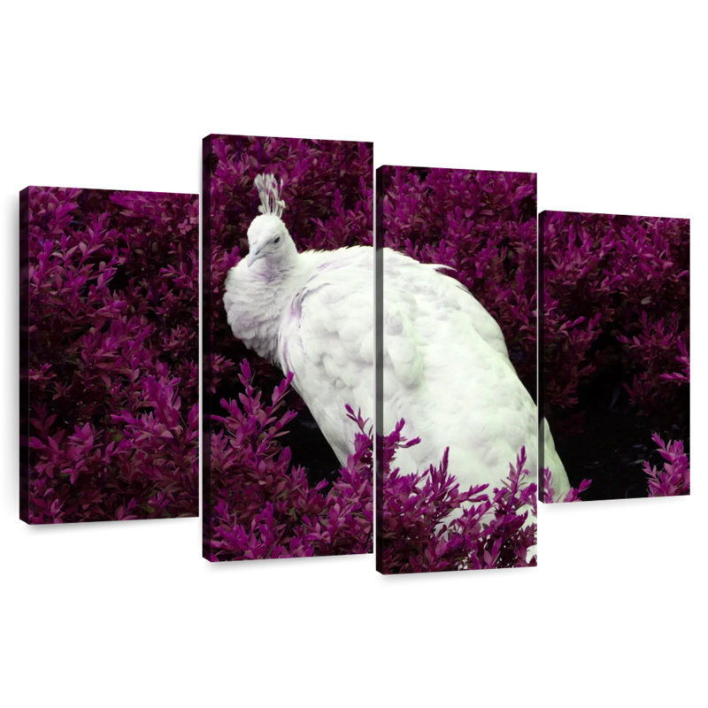 Brampt White Peacock In Purple Field, 32"H x 52"W
