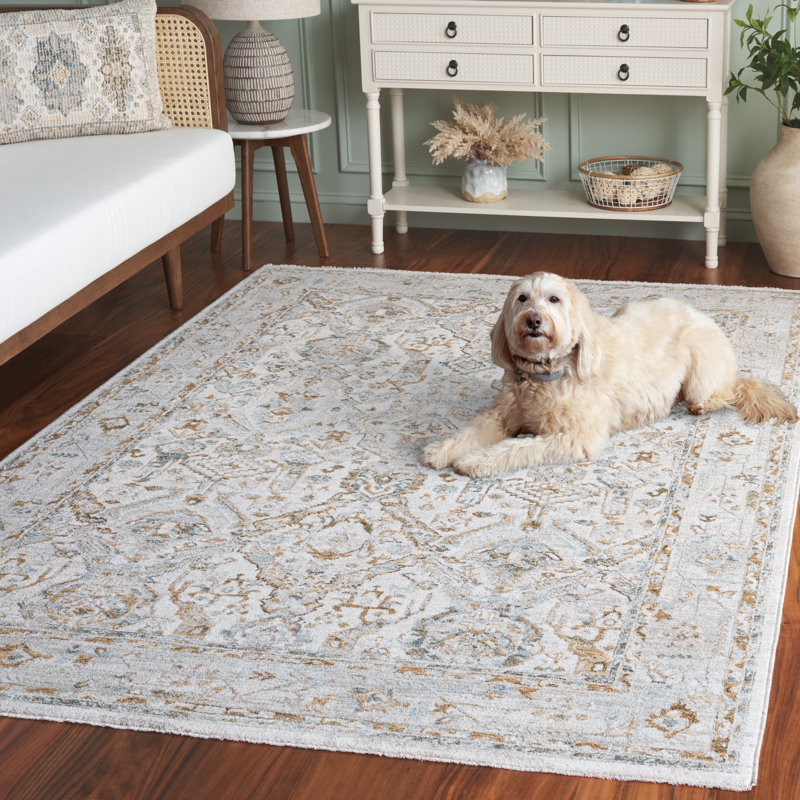 Tapis oriental Xanthi Performance, Rectangle 5 pi 3 po x 7 pi 6 po