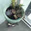 Customer photo 4 of 6