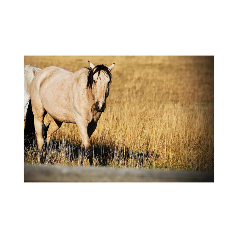 Single Tan Horse by Susan Vizvary - Wrapped Canvas Print, 66.04 cm H x 45.72 cm W x 1.91 cm D