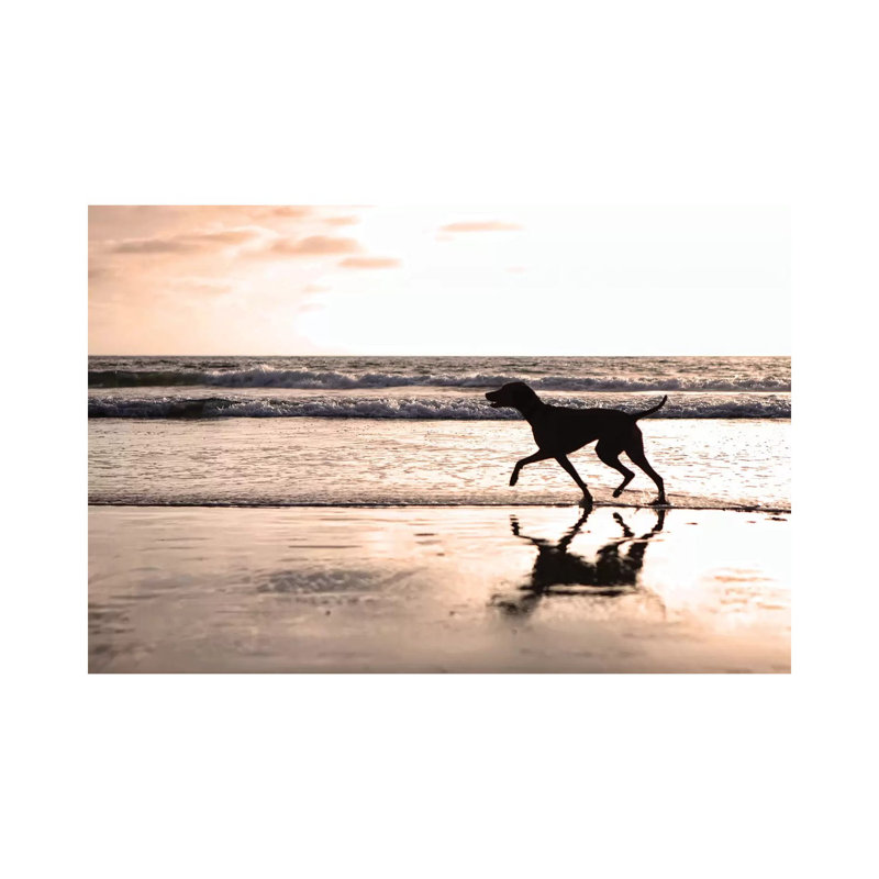 Dog Running On Beach At Sunset by Susan Schmitz - Wrapped Canvas Gallery-Wrapped Canvas Giclée