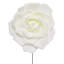 Grande tige rose en mousse-132110121-132110127