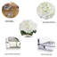 Arrangement d'hortensias dans un vase-88514612
