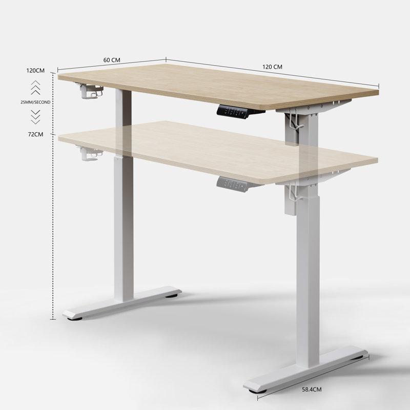 Aario One Piece Electric Height Adjustable Standing Desk with USB Charger, 120cm W x 60cm D, Oak/Grey