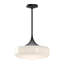Luminaire suspendu simple à 1 lumière Lincoln-66310915