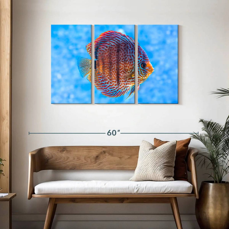 Brampt Freshwater Discus Fish, 28" H x 45" W