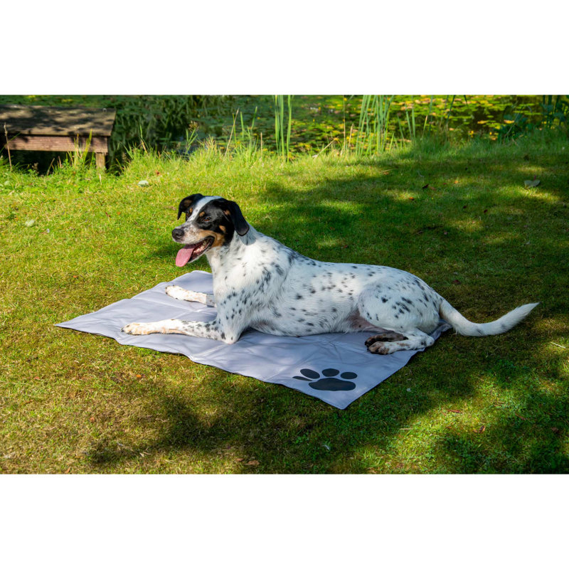 Crochet Nylon Pet Bed