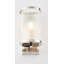 Ravens Flush Mounted Sconce