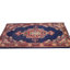 Tapis oriental traditionnel rétro 2 pi 4 po x 4 pi 2 po