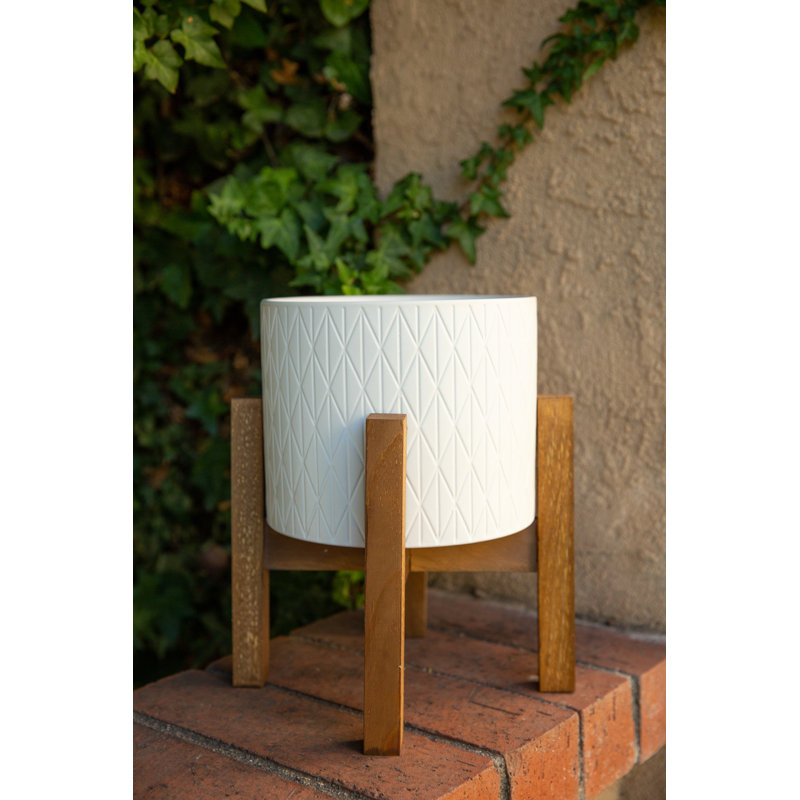 Ardelia Ceramic Pot Planter