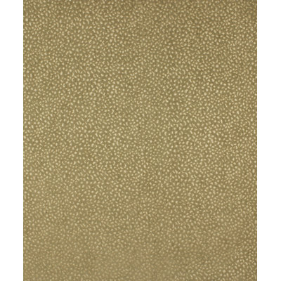 Nassau Fabric
