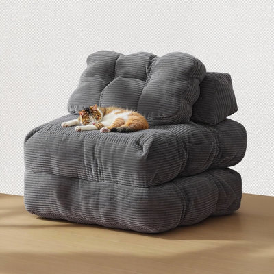 Canapé-lit pliant, fauteuil-lit et coussin