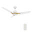 Ventilateur de plafond intelligent Tracer de 48 pouces avec télécommande, ensemble d'éclairage inclus, fonctionne avec l'assistant Google, Amazon Alexa et les raccourcis Siri.-269438880-269438886-269438891