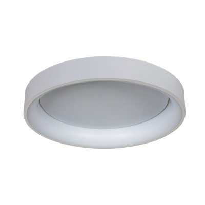 Niland LED Flush Mount