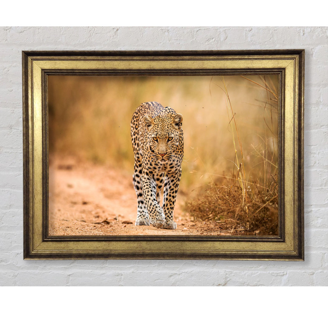 Leopard Walk - Bilderrahmen Kunstdrucke