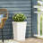 PLANTER