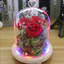 Oglesby Cloche Or Water Globe