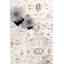 Tapis oriental gris / beige / brun Efes-51020751