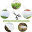 Protection contre le gel des plantes -105685740