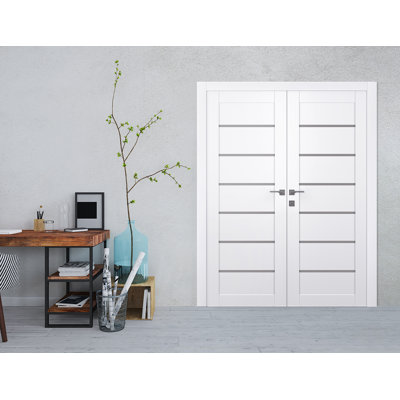 Alba Solid Manufactured Wood and 6-Lite Frosted Glass Panelled Standard Double Prehung Door