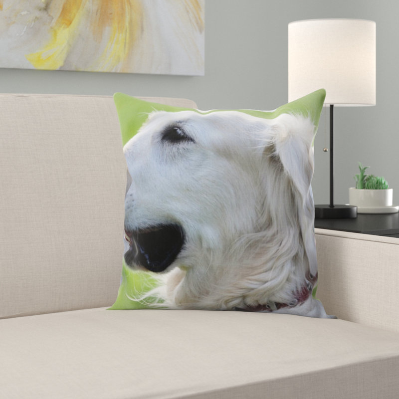 Coussin de l’extracteur