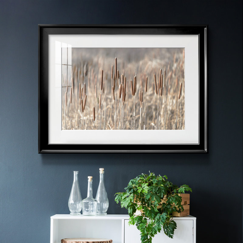 Summer Tails - Photographie avec cadre photo, H 30,5 po x l 42,5 po x P 1,5 po, Papier avec cadre noir