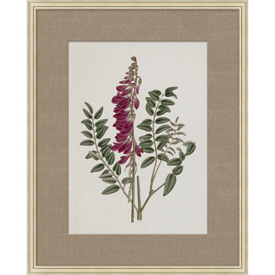 Floral Study In Plum 1 Print