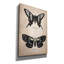 «Vintage Butterflies Duo 2» par Art Licensing Studio, art mural sur toile-1401299509