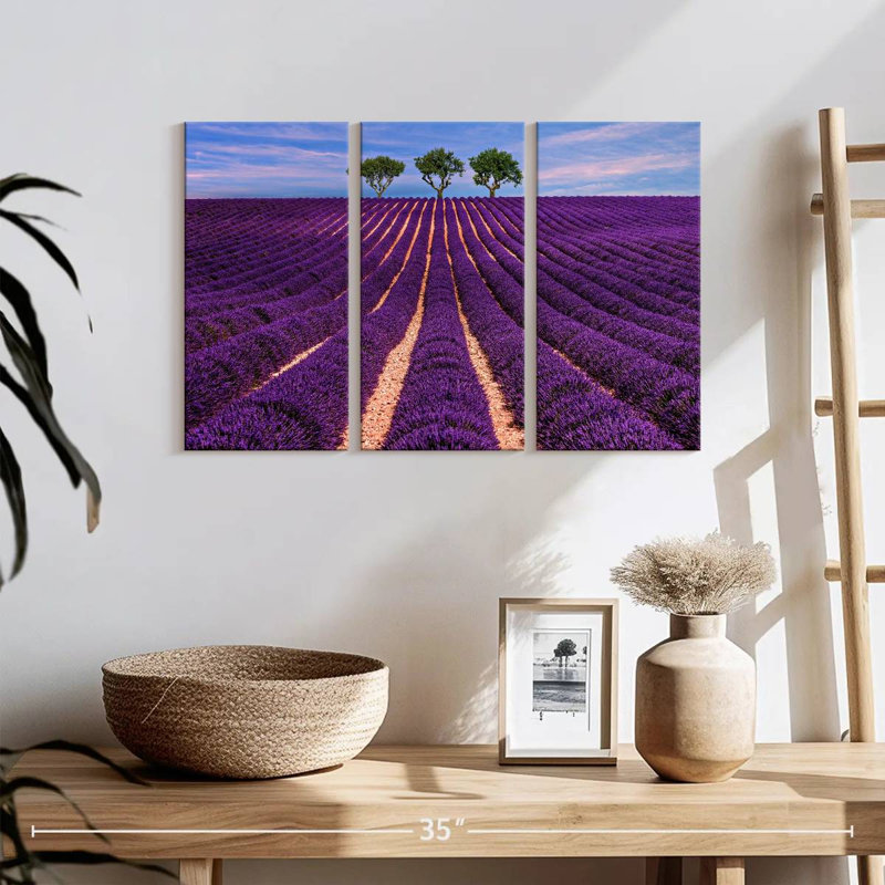 Alvord Provence Summer Lavender Rows, 42" H x 65" W