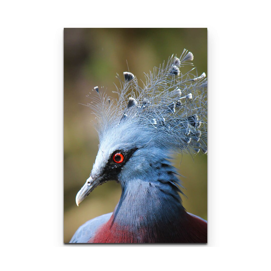 Leinwandbild Blauer Pfau