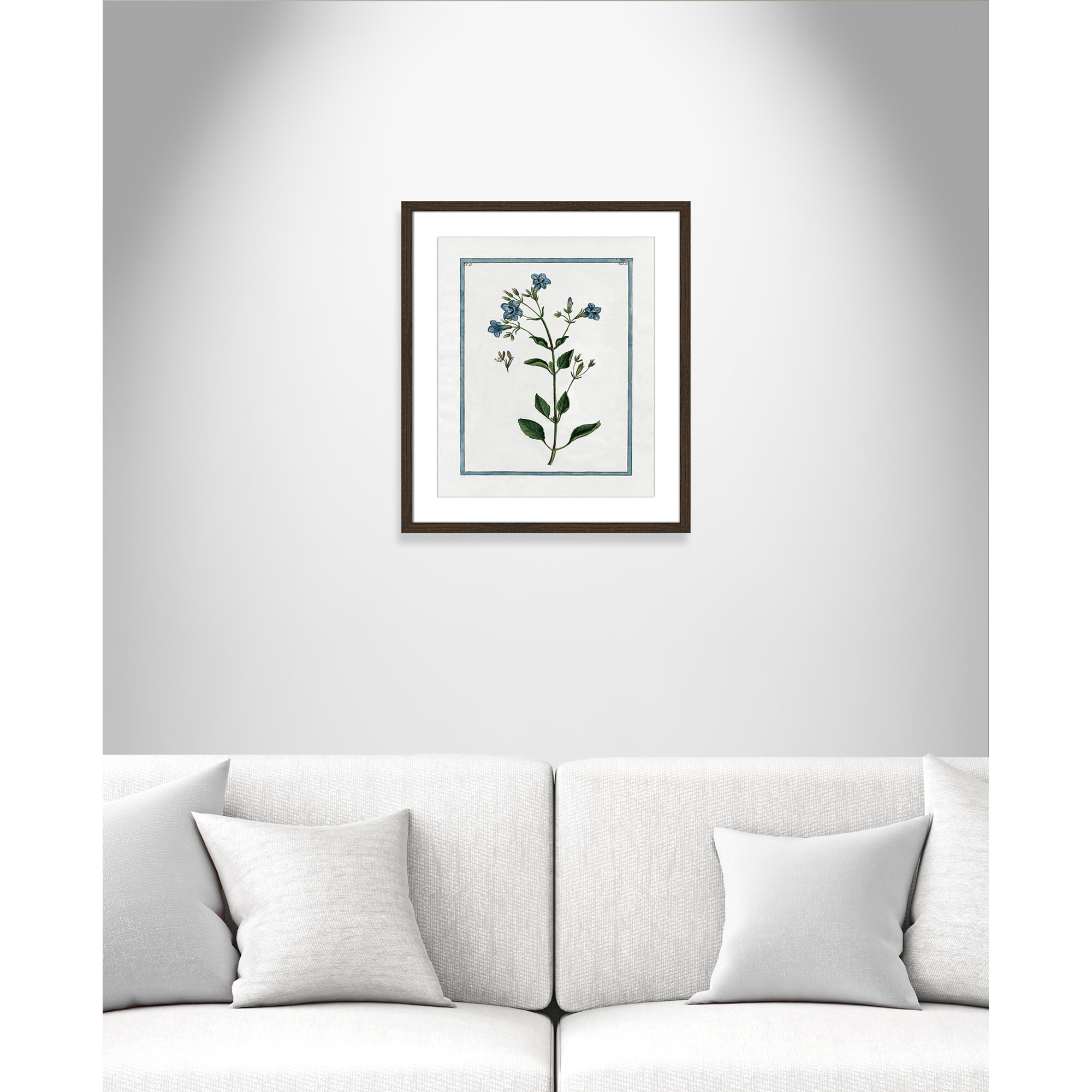 Shabby Elegance Botanical II - Framed Art, 16" W x 19" H, Walnut Framed